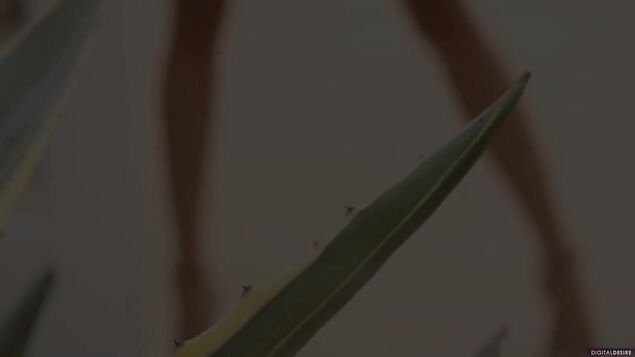 Красивая азиатка разделась догола и нежно потеребила розовую вульву