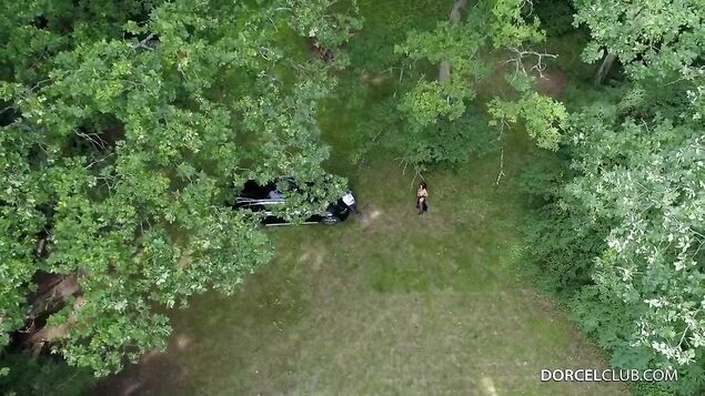 Личный водитель оттрахал молодую нимфоманку в очко посреди леса